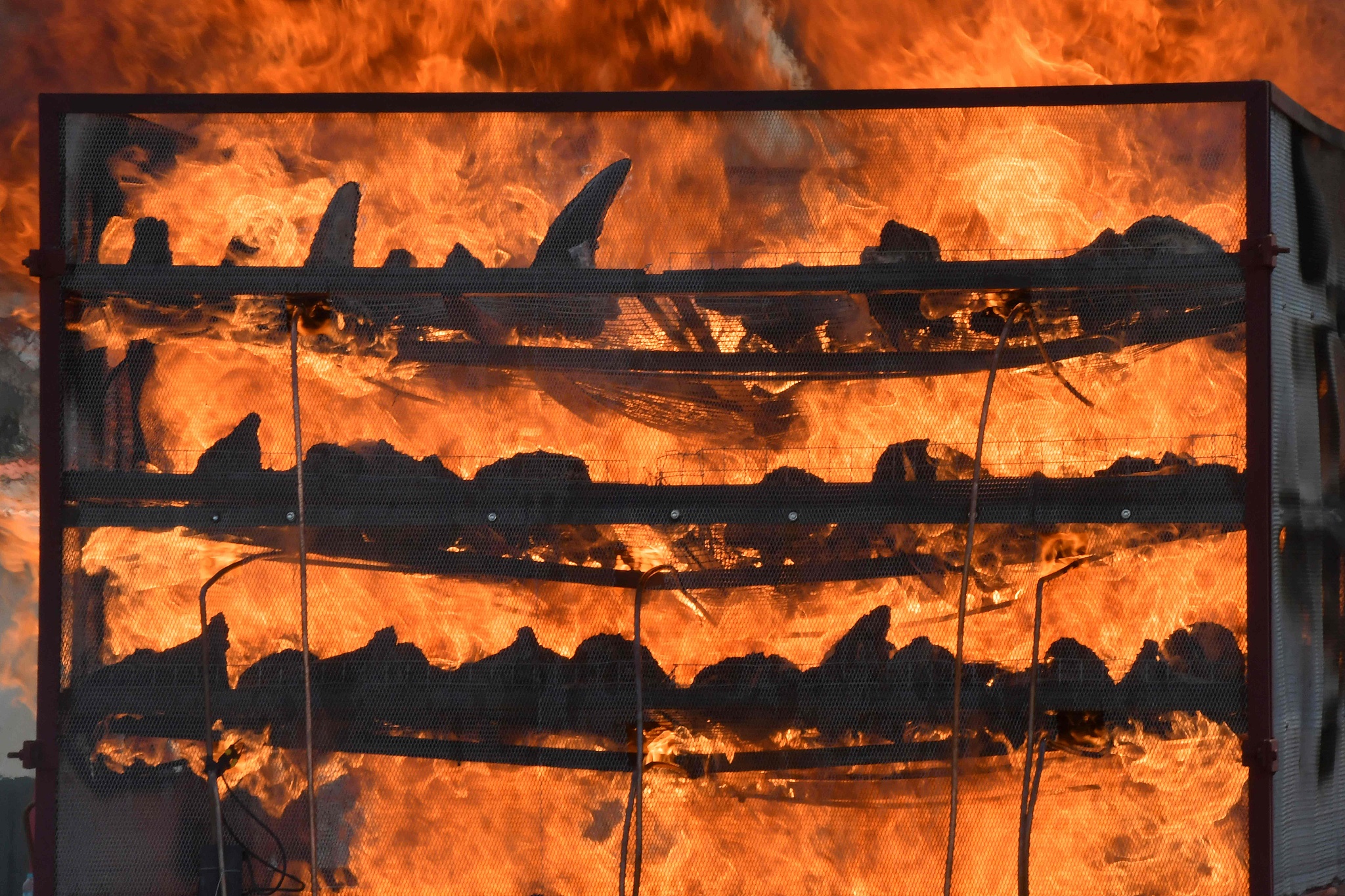 Around 2,500 Rhino Horns burned To Ashes In Assam, India