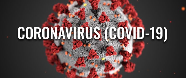 13 succumb to covid – 19 as 313 test positive