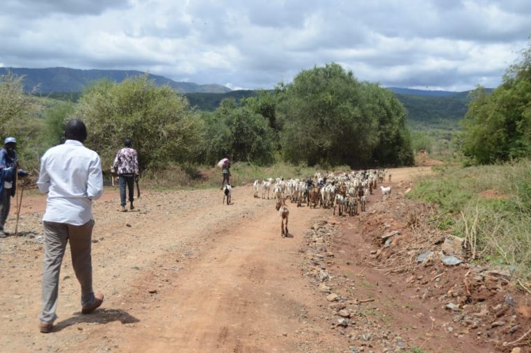 BARINGO SOUTH RESIDENTS READY TO FLEE THEIR HOMES OVER INSECURITY
