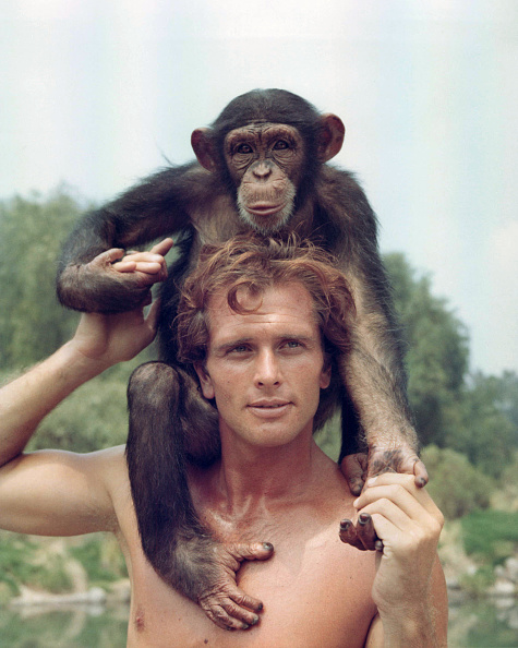 Ron Ely, Star of the “Tarzan” Series, Passes Away at 86, Five Years After the Tragic Deaths of His Wife and Son.