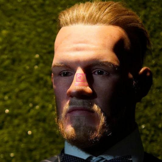Conor McGregor’s Wax Figure Removed