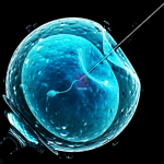 IVF: 45 Years Later, Hope and Challenges