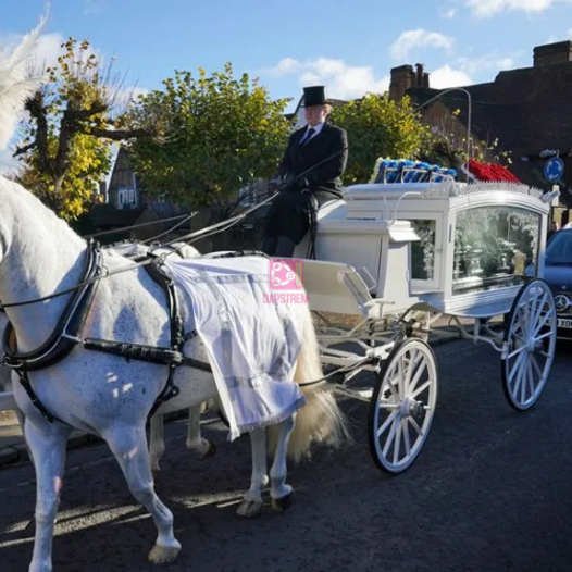 Liam Payne Laid to Rest in Private Funeral Attended by One Direction Bandmates and Loved Ones