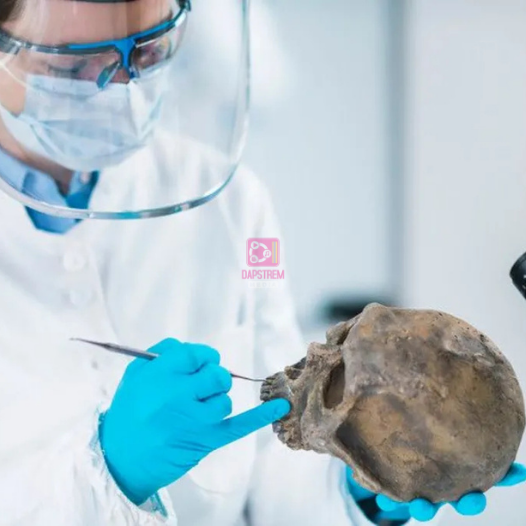 Humans Needed Neanderthals to Survive