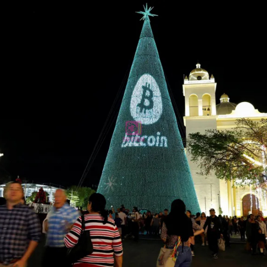 Bitcoin Scales Back Ambitions