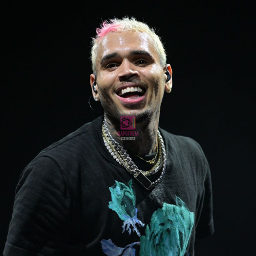 Chris Brown Sues for $500M Over Documentary