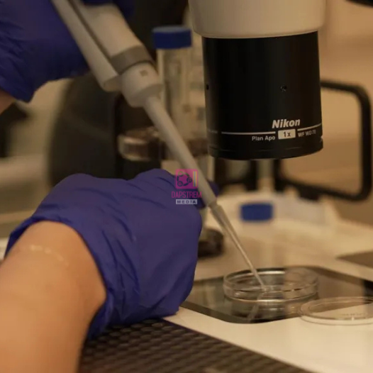 Judge Warns Sperm Donor Who Fathered 180