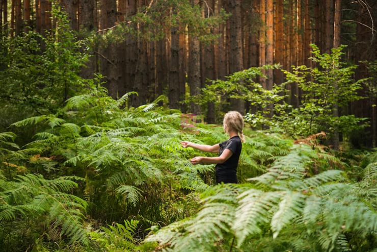 Forest Bathing: The Proven Art of Healing Through Nature