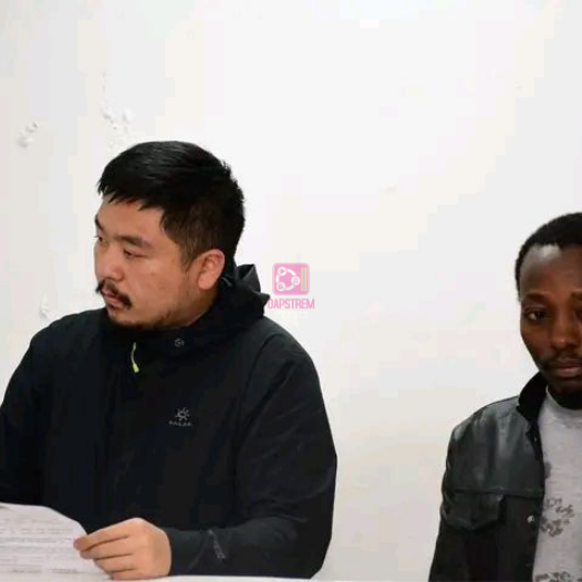 Ant Trafficking Case: Two Charged Over 3,361 Live Insects in Kenya