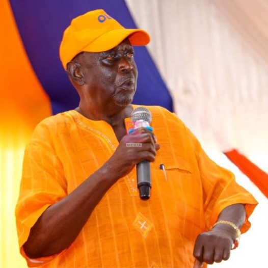 Oburu Odinga officially elected as ODM party leader
