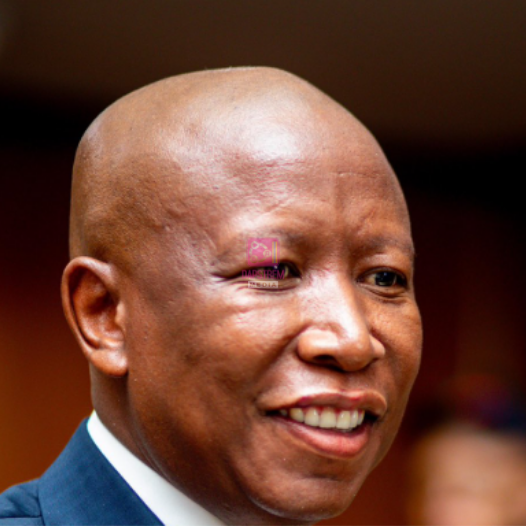 Julius Malema Sentenced to 5 Years in Prison