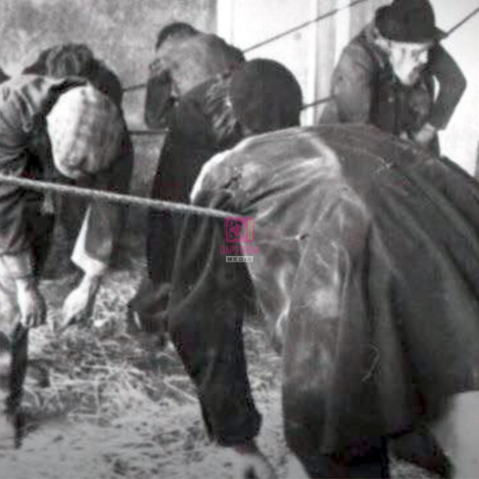 Was the Word ‘Hangover’ Derived from Drunken Sailors Sleeping on Ropes?