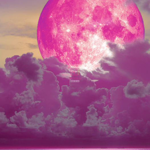 Pink Moon