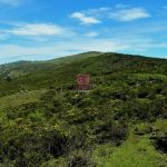 Chesongoch Disaster Triggers KSh14.7B Cherangany Hills Restoration Drive Unveiled by Murkomen