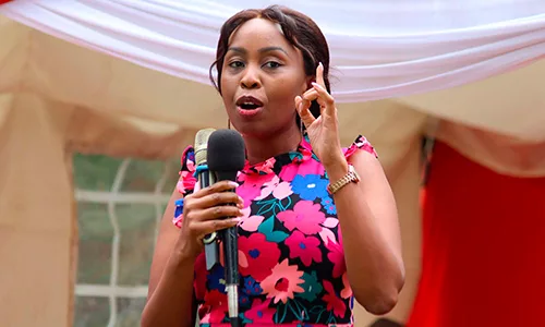 Pauline Njoroge Resigns from Jubilee Party After 14 Years to Fully Join Linda Mwananchi Movement