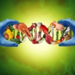 Food, Genes and Health: How Nutrition Influences Gene Function Through Epigenetics