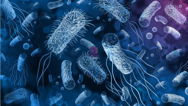 DRC, Africa’s Largest Cholera Hotspot, Reports Over 39,400 Suspected Cases