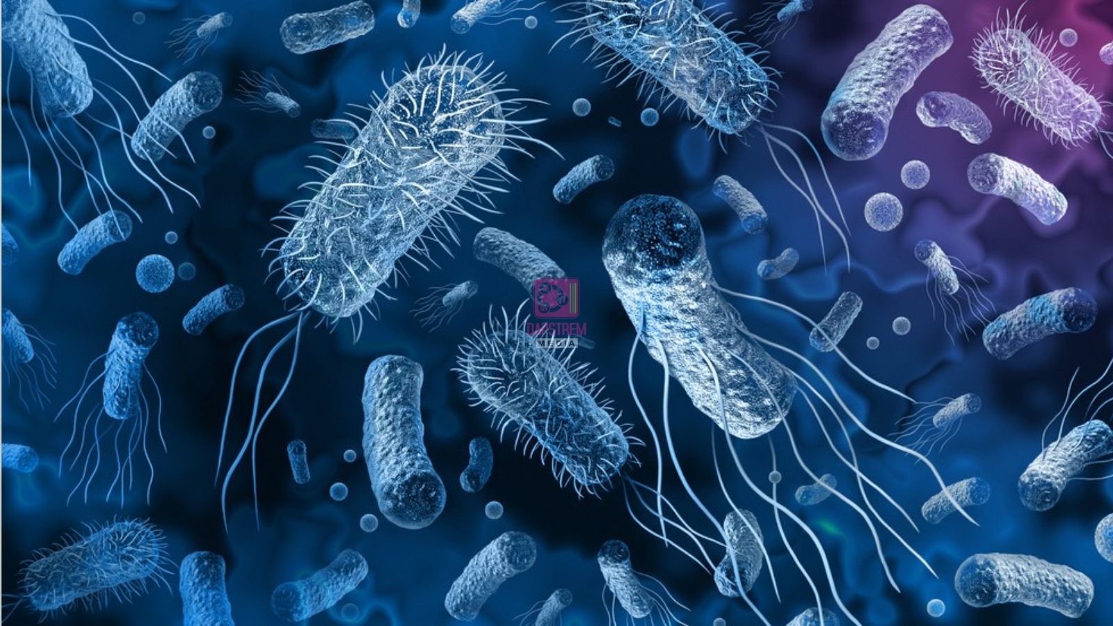 DRC, Africa’s Largest Cholera Hotspot, Reports Over 39,400 Suspected Cases