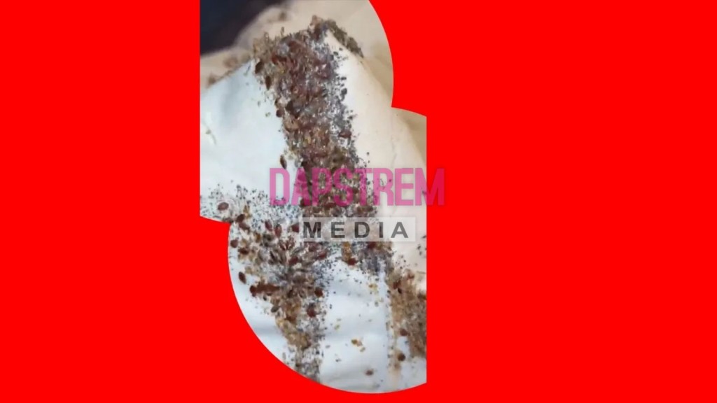 Bedbugs on Southeastern Trains Trigger Shock Cancellations
