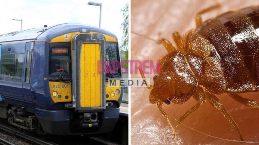 Bedbugs on Southeastern Trains Trigger Shock Cancellations
