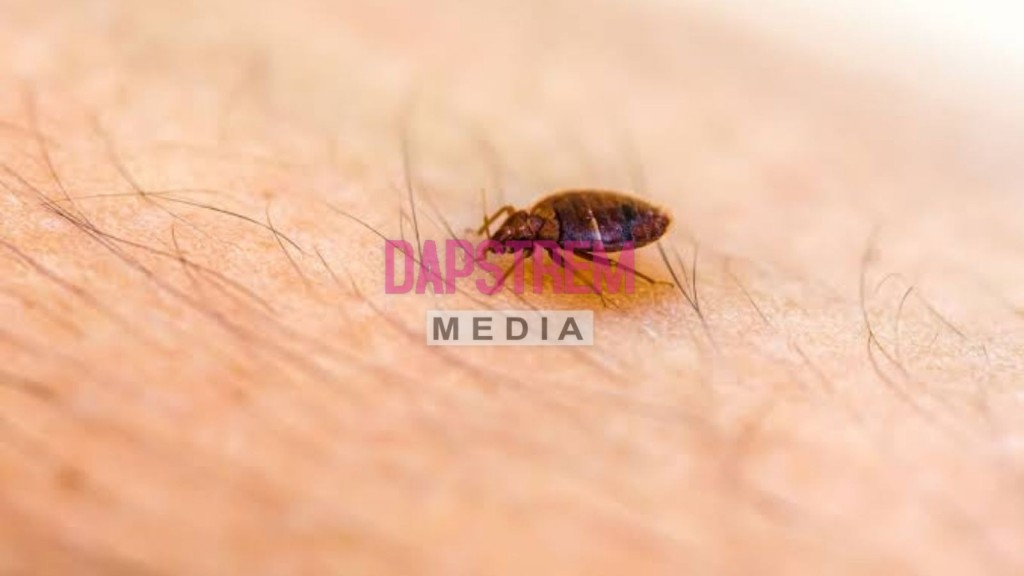 Bedbugs on Southeastern Trains Trigger Shock Cancellations
