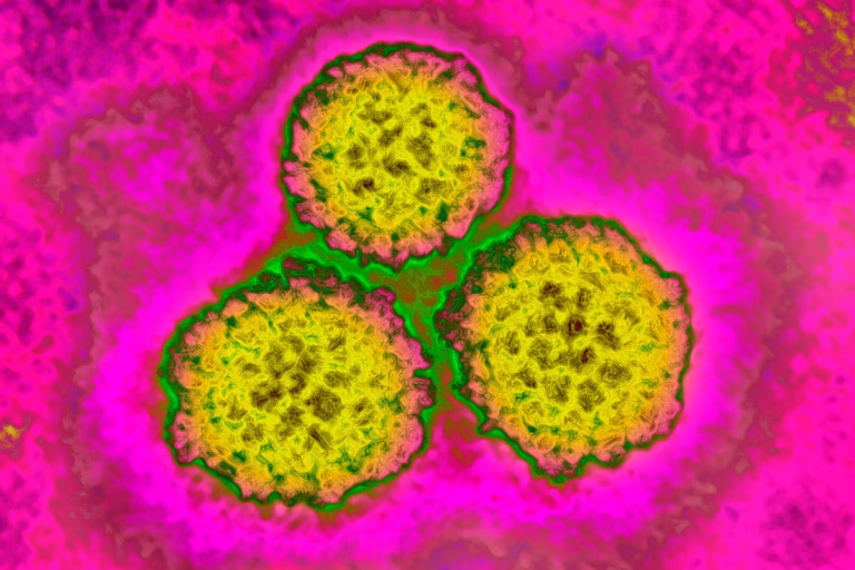 One in Eight Cancers Are Linked to Infections, New Global Study Reveals