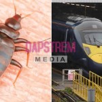 Bedbugs on Southeastern Trains Trigger Shock Cancellations