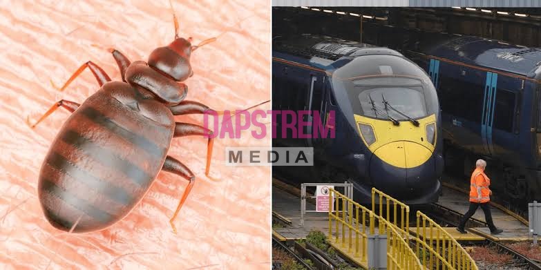 Bedbugs on Southeastern Trains Trigger Shock Cancellations